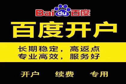 百度推广公司案例解析：如何利用大数据优化营销策略
